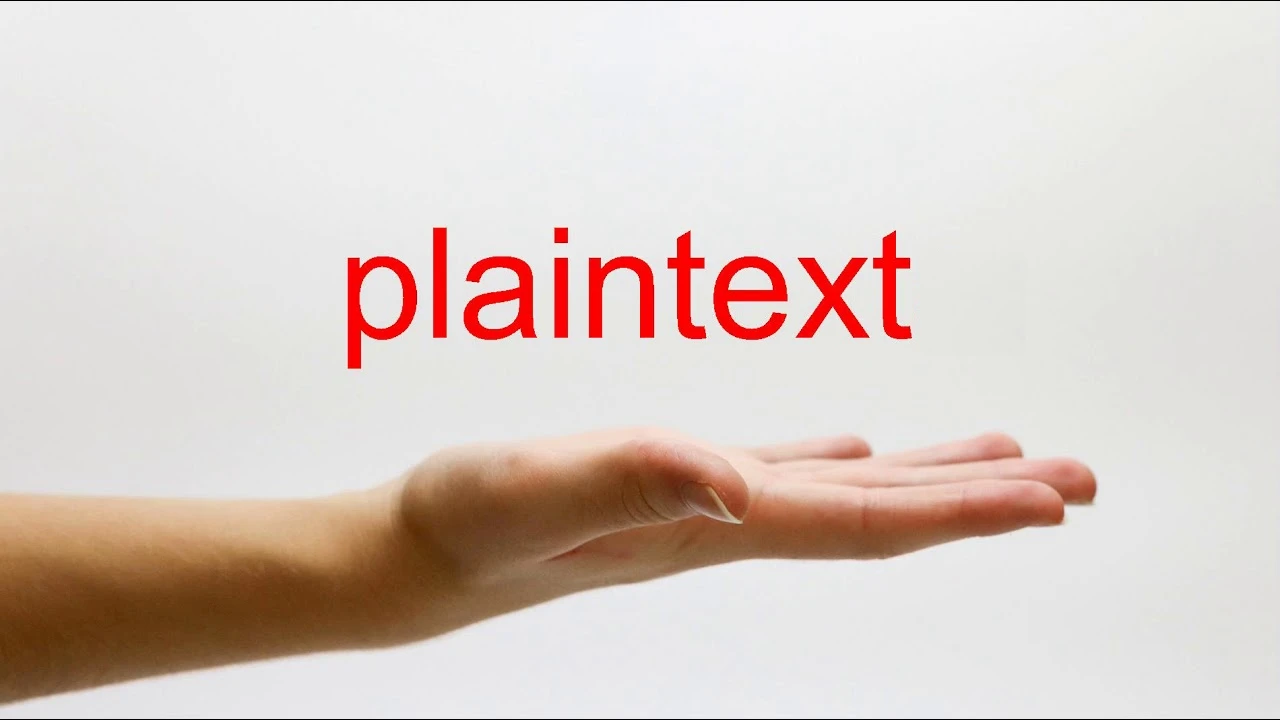 Plaintext in Cryptography