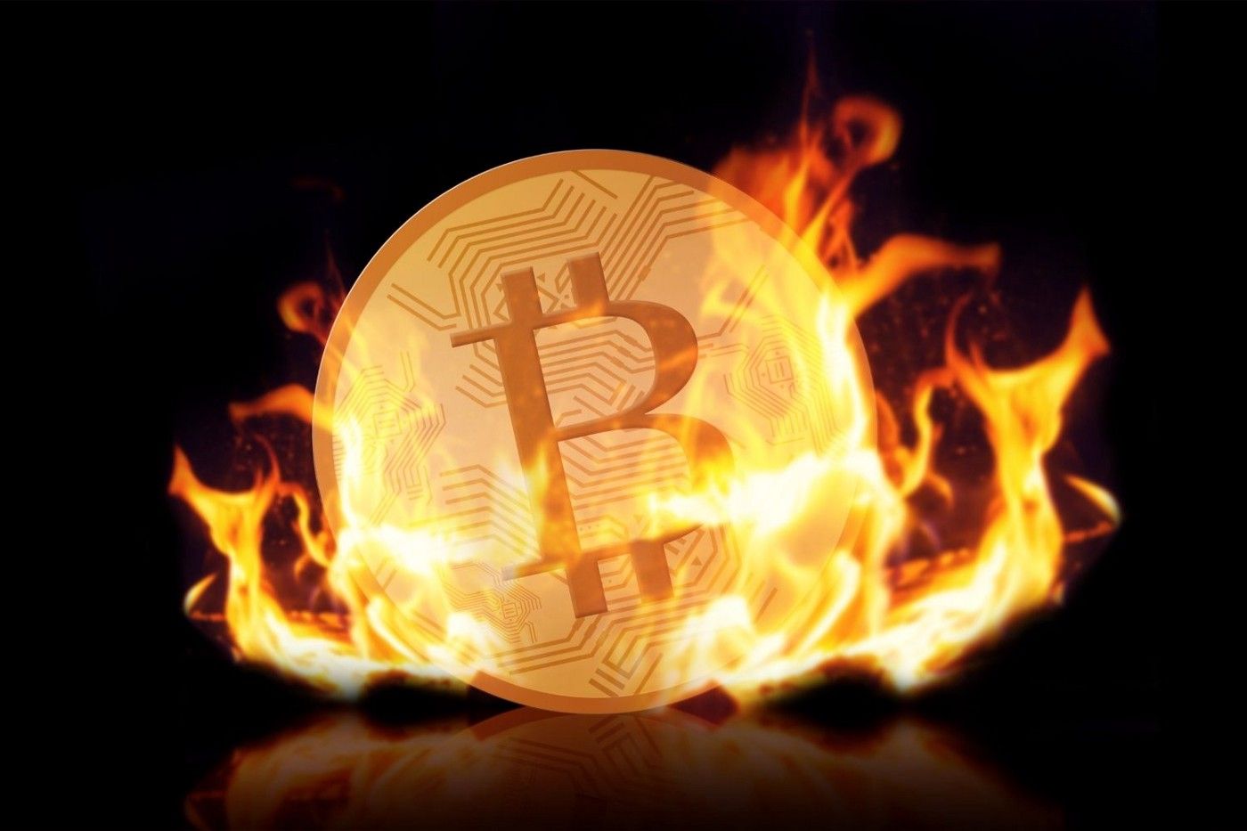 Crypto Burning