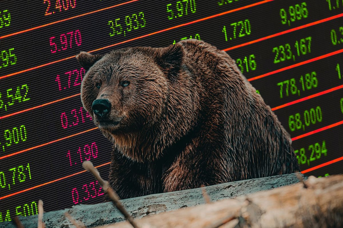Bear Market - Investing - Stocks