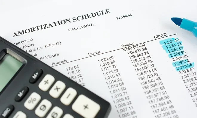 Amortization Schedule - Loan / Investment / Finance