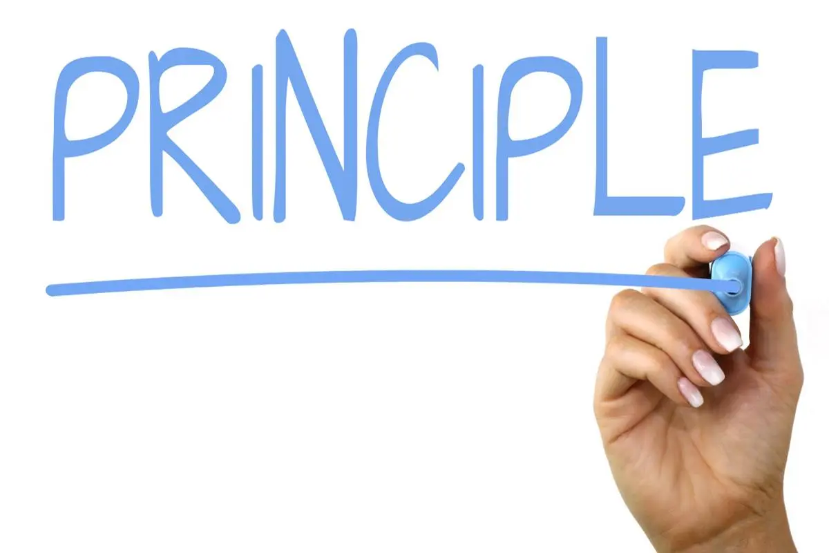Principle - Ownership of an an Investment