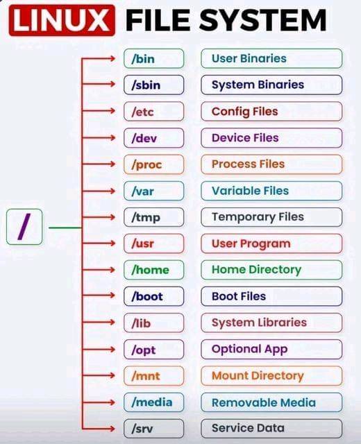 The Linux File and Folder System