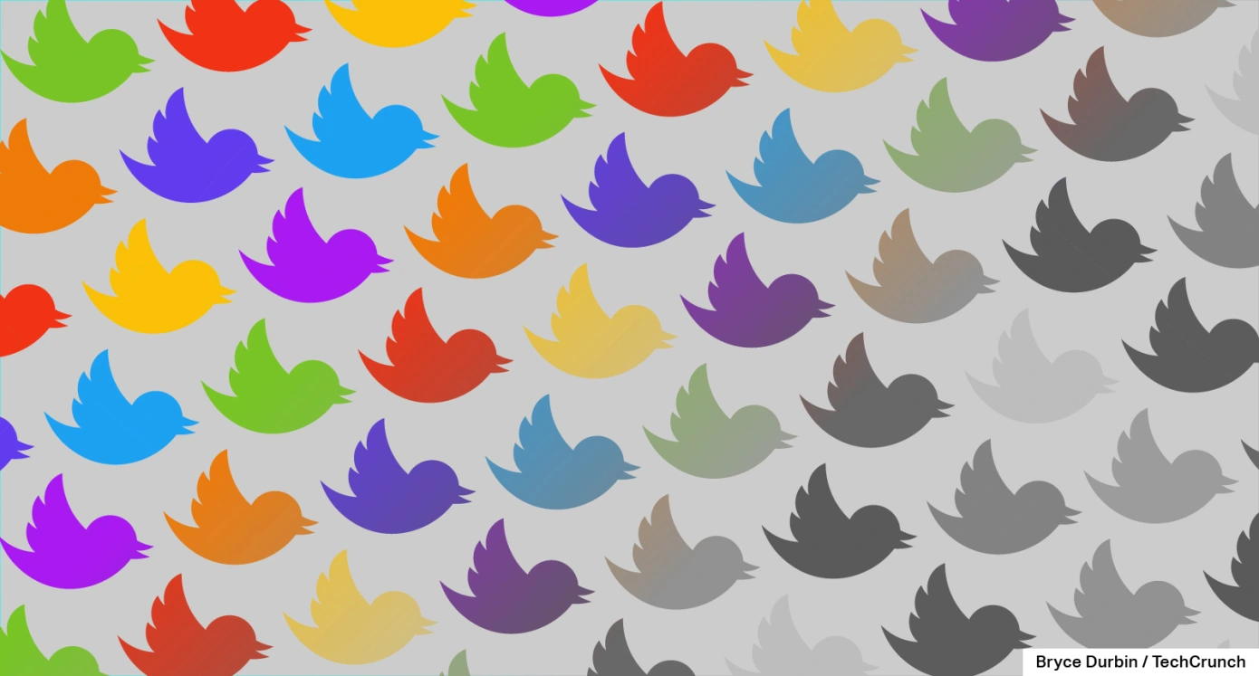 Rainbow - Twitter - Birds