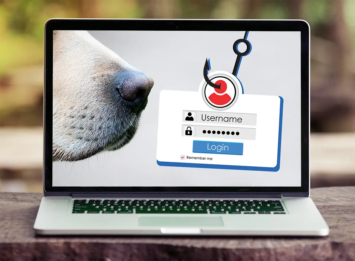 Dog - Smelling Password
