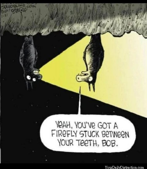 Firefly - Stuck Between Your Teeth